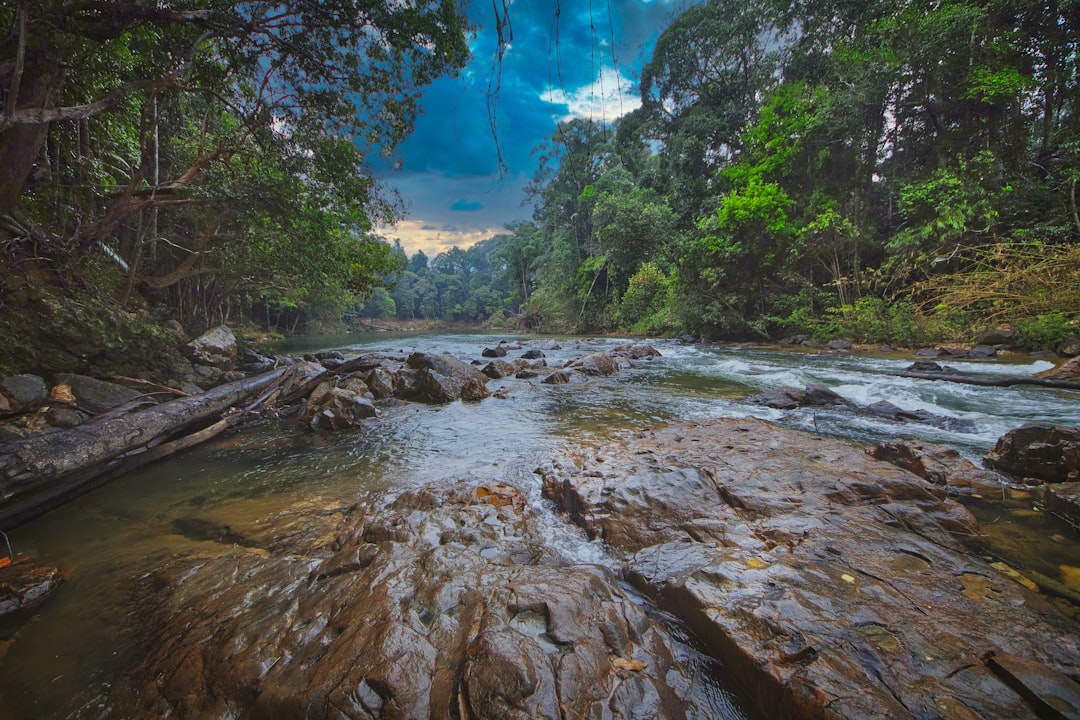 Barahi Jungle Lodge